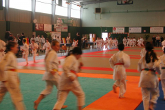 DSCN0779