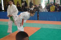 DSC02727