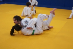 SONY DSC