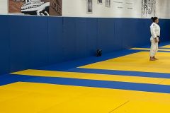 IMG-20221030-WA0006