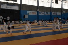 IMG_67661