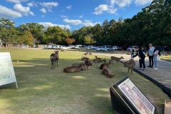 IMG-20231101-WA0031