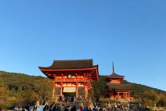 IMG-20231101-WA0080