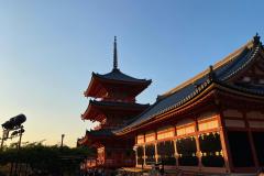 IMG-20231101-WA0084
