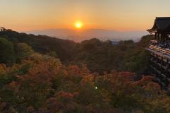 IMG-20231101-WA0091