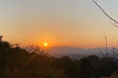 IMG-20231101-WA0092