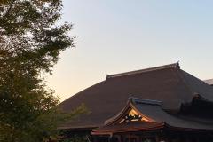 IMG-20231101-WA0093