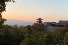 IMG-20231101-WA0096