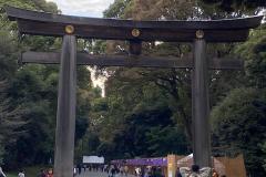 IMG-20231025-WA0007