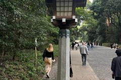 IMG-20231025-WA0017