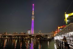 IMG-20231026-WA0013