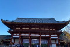 IMG-20231030-WA0014