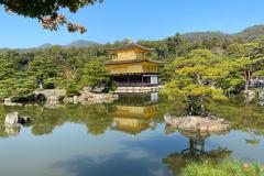 IMG-20231105-WA0044