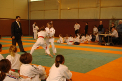 DSC01531