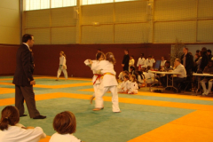 DSC01541